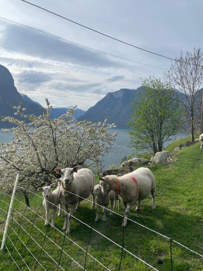 Aurland Stegastein Apartment Zewnętrze zdjęcie