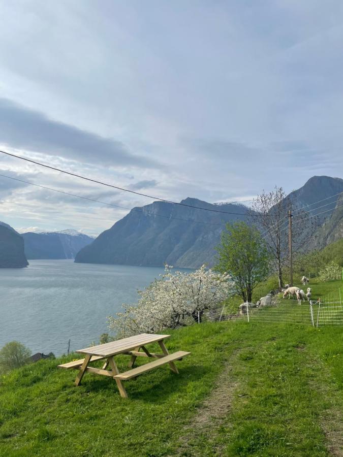 Aurland Stegastein Apartment Zewnętrze zdjęcie